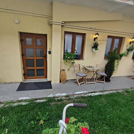 Central Garden Apartments Braşov Buitenkant foto
