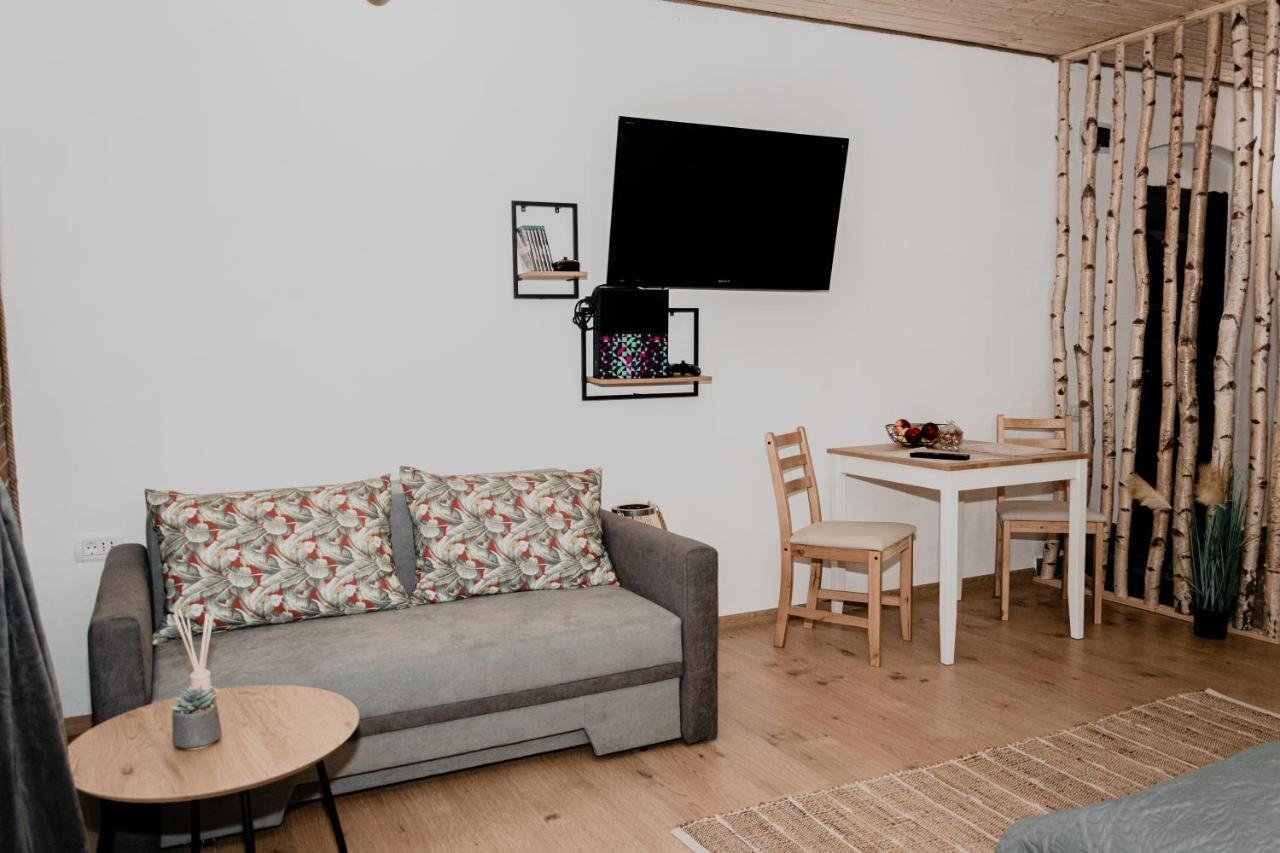 Central Garden Apartments Braşov Buitenkant foto